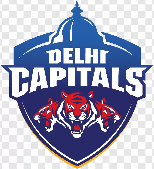 DP World and Delhi Capitals Spread Cricket Cheer - India Shipping News