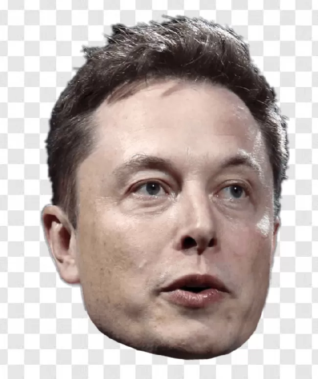 Elon, Elon Musk, Person, Technology, Man, Business, Musk, Celebrity, Tesla, Spacex