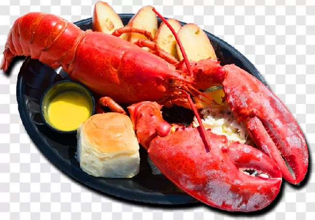 Lobster, Dinner, Meal, Claw, Food, Seafood, Gourmet, Cooked, Crustacean, Red