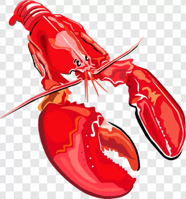 Cooked, Dinner, Meal, Red, Crustacean, Lobster, Food, Seafood, Claw, Gourmet