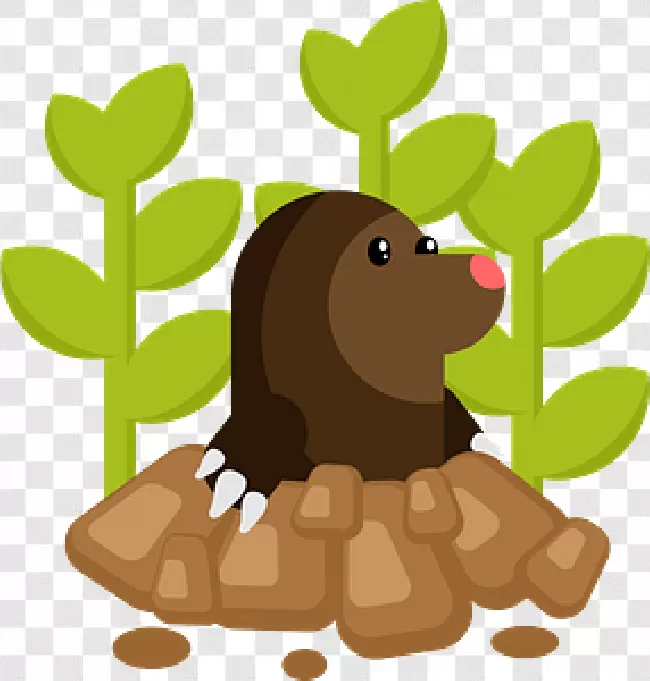 Mole Png Images Free Transparent Background Free Download PNG Images