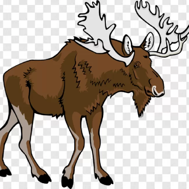 Wildlife, Animal, Wild, Mammal, Nature, Vector, Moose, Forest, Antler, Outdoor