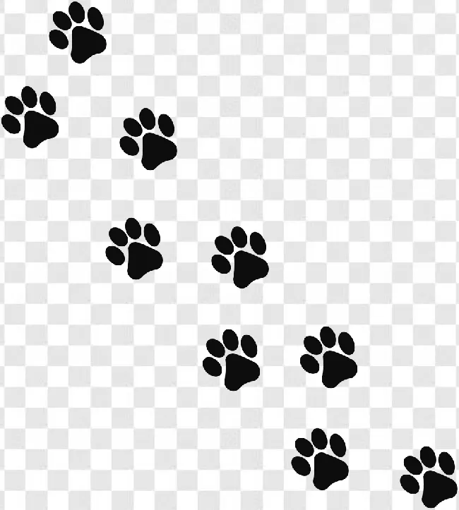 Foot, Paw, Symbol, Animal, Icon, Pet, Silhouette, Dog, Footprint