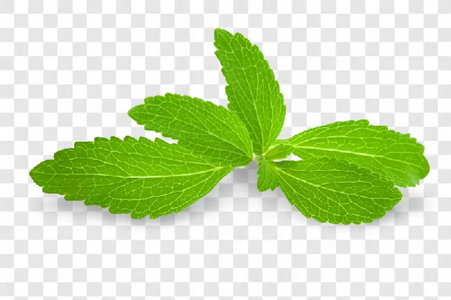 Food, Spice, Leaf, Green, Mint, Nature, Plant, Ingredient, Herb, Peppermint