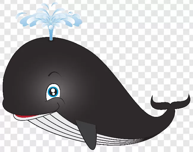 Whale Logo Transparent Background Free Download - PNG Images