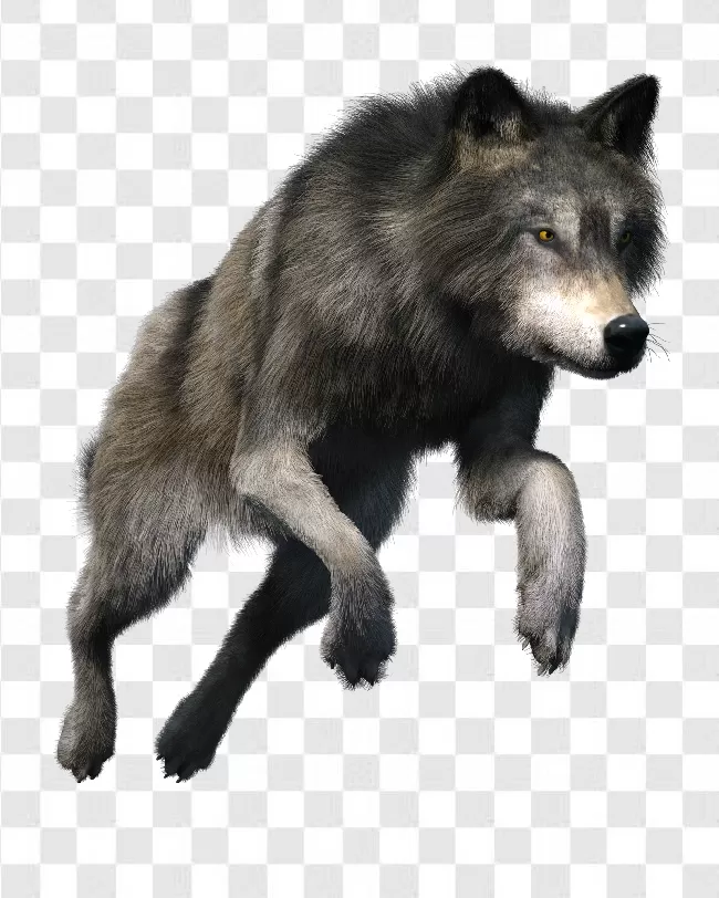 Wolf Vector Png Images Free Download Transparent Background Free ...