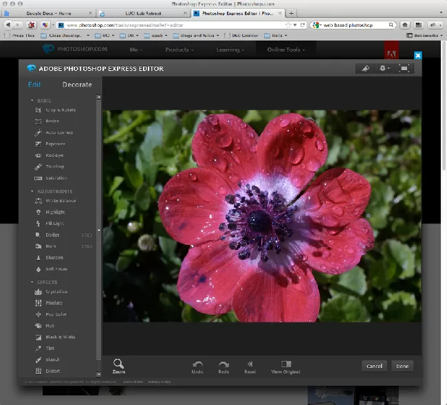 Adobe Express Transparent Background Transparent Background Free Download -  PNGImages