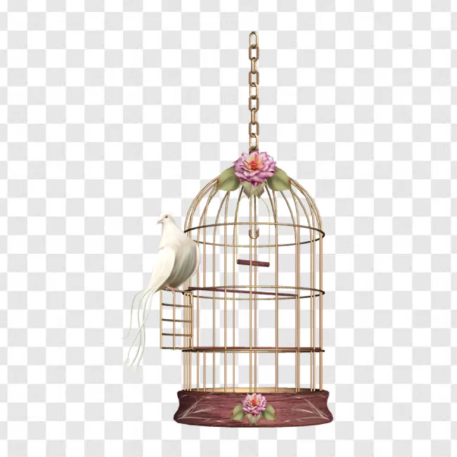 White, Cage, Freedom, Concept, Isolated, Metal, Illustration, Bird