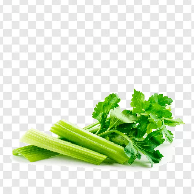 Ingredient, Organic, Leaf, Celery, Vegetarian, Healthy, Vegetable, Food, Green, Fresh