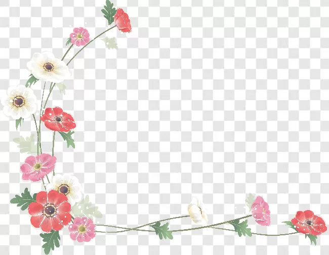 Floral Frame Png Editor Transparent Background Free Download - PNG Images