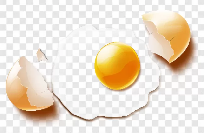 Download Fried Egg Png Image HQ PNG Image